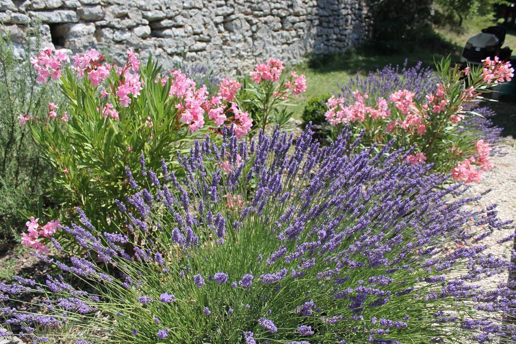 Villa Château de Peyrolles à Apt Extérieur photo