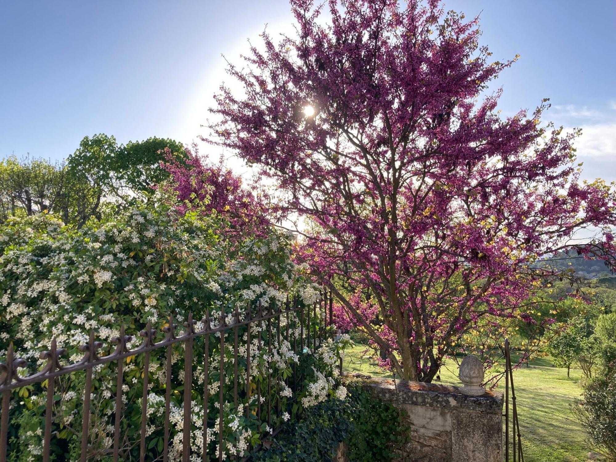 Villa Château de Peyrolles à Apt Extérieur photo