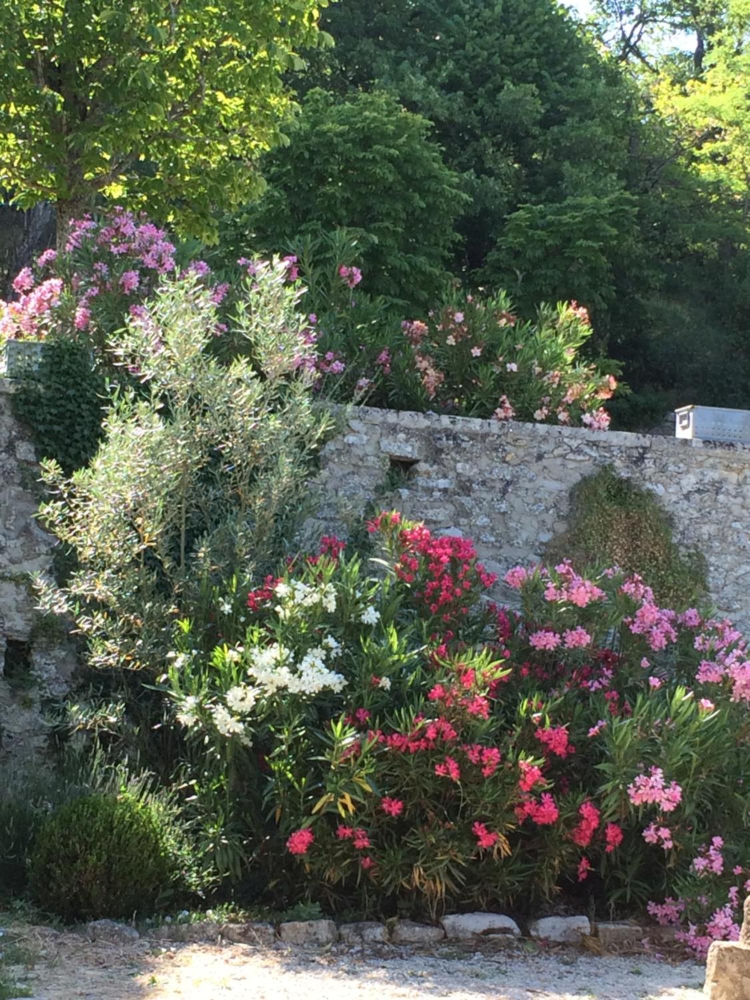 Villa Château de Peyrolles à Apt Extérieur photo